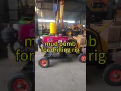 시계: 트립렉스 싱글 액팅 드릴링 진흙 펌프 수평형 가볍고 간단한 운영 쇼케이스